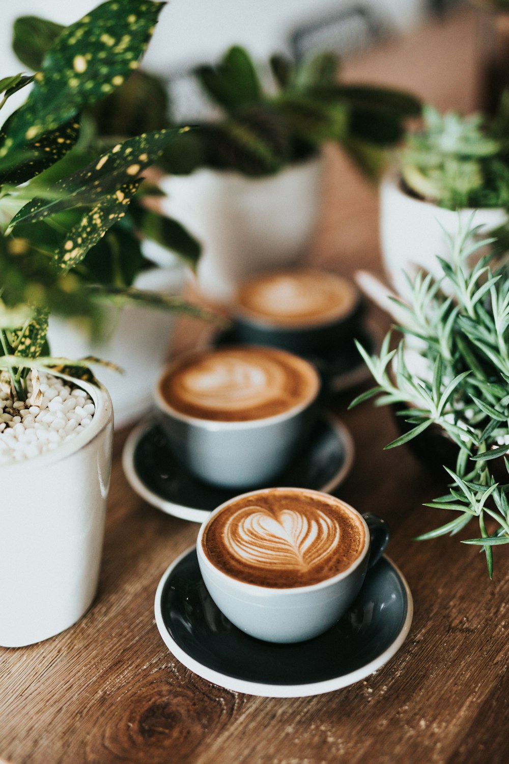Macchiato
